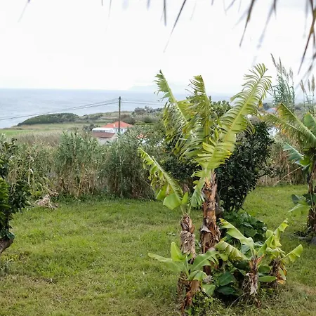 Casa Gaia Cedros