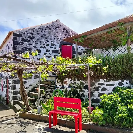 Casa Gaia Cedros