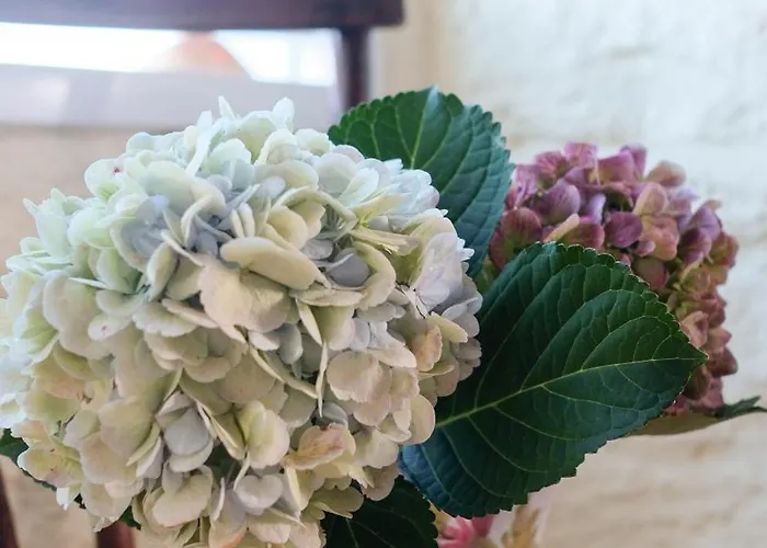 Casa Gaia Dom wakacyjny Cedros